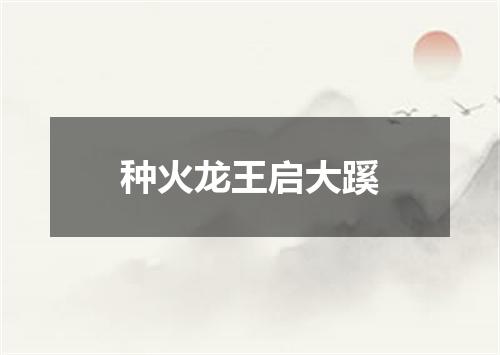 种火龙王启大蹊