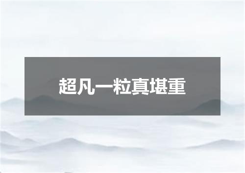 超凡一粒真堪重