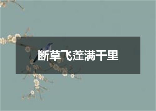 断草飞蓬满千里