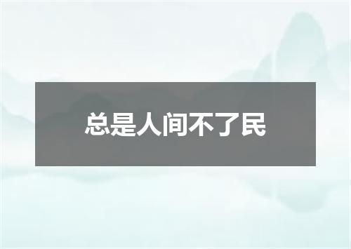 总是人间不了民