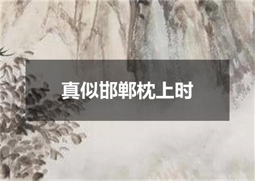 真似邯郸枕上时