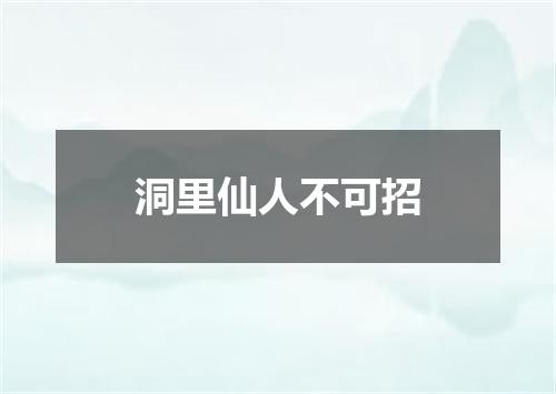洞里仙人不可招