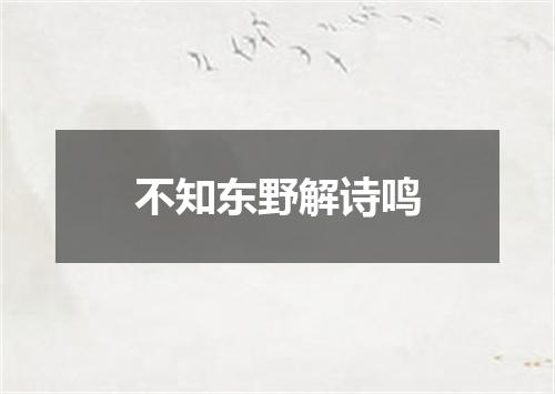 不知东野解诗鸣