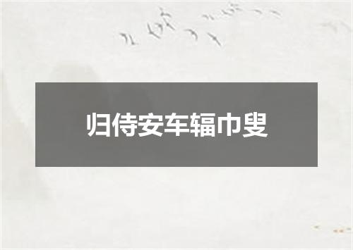 归侍安车辐巾叟
