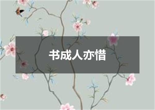 书成人亦惜