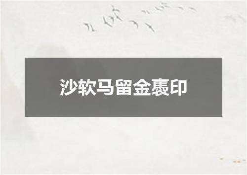 沙软马留金褭印