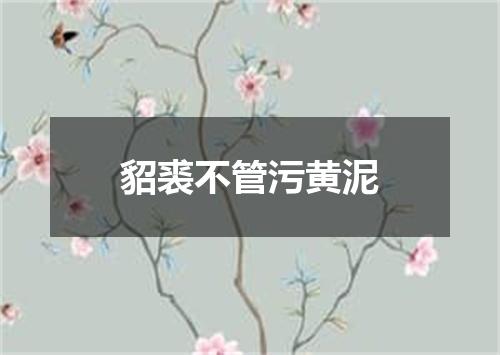 貂裘不管污黄泥