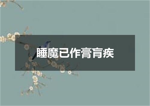 睡魔已作膏肓疾