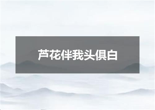 芦花伴我头俱白