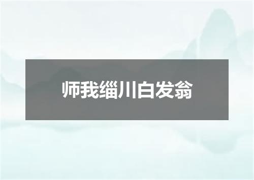 师我缁川白发翁