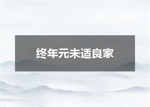终年元未适良家