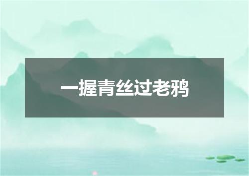 一握青丝过老鸦