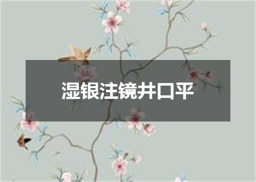 湿银注镜井口平