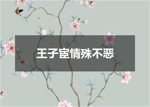 王子宦情殊不恶