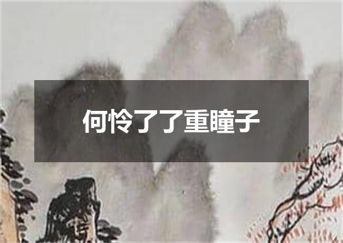 何怜了了重瞳子
