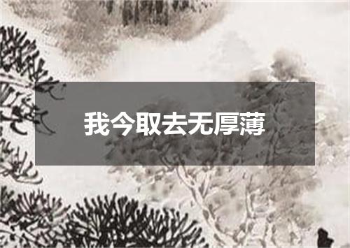 我今取去无厚薄