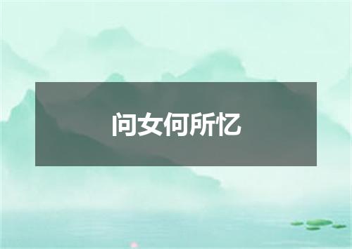 问女何所忆