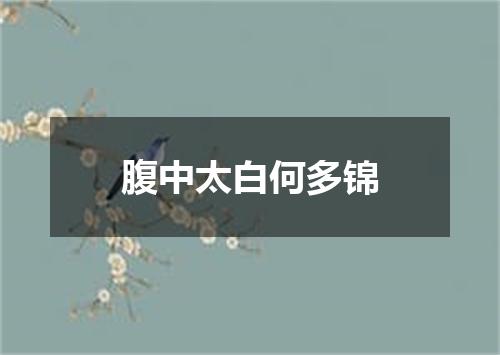 腹中太白何多锦
