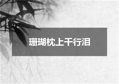 珊瑚枕上千行泪
