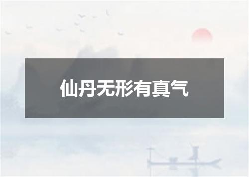 仙丹无形有真气