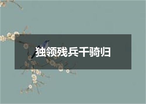 独领残兵千骑归