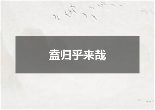 盍归乎来哉