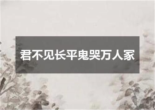 君不见长平鬼哭万人冢