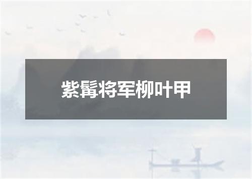 紫髯将军柳叶甲