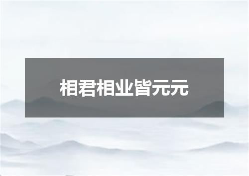 相君相业皆元元