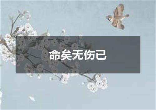 命矣无伤已