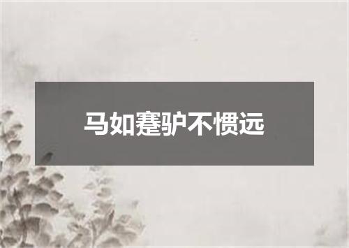 马如蹇驴不惯远
