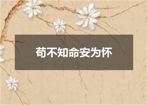 苟不知命安为怀