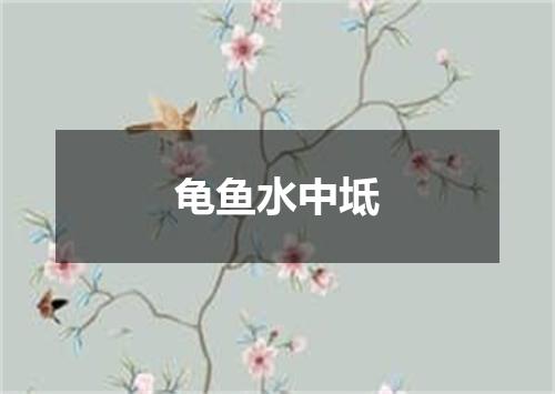 龟鱼水中坻