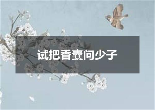 试把香囊问少子