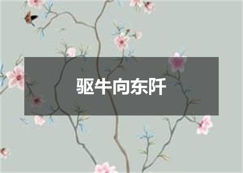 驱牛向东阡