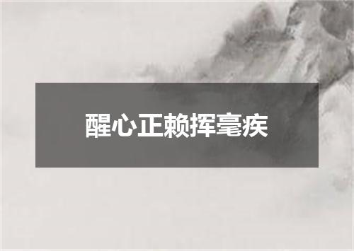 醒心正赖挥毫疾