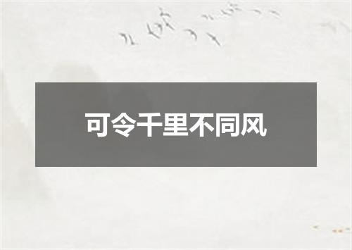 可令千里不同风