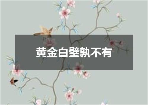 黄金白璧孰不有