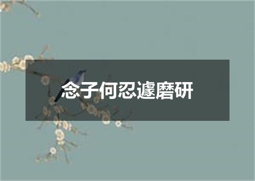 念子何忍遽磨研