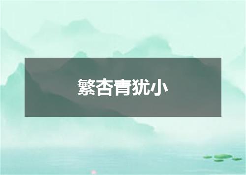 繁杏青犹小