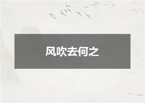 风吹去何之