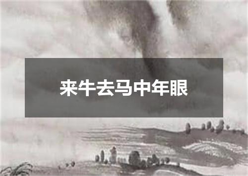 来牛去马中年眼