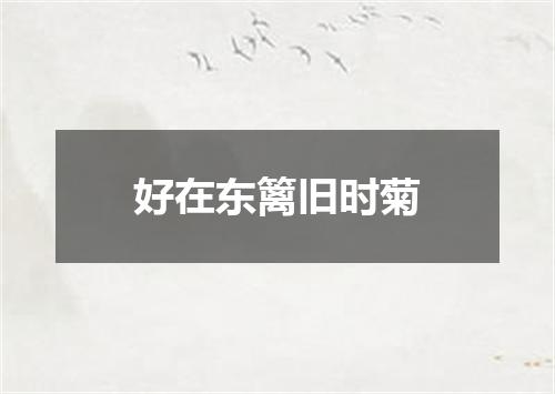 好在东篱旧时菊