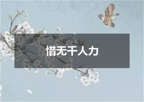 惜无千人力
