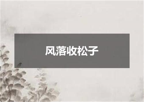 风落收松子