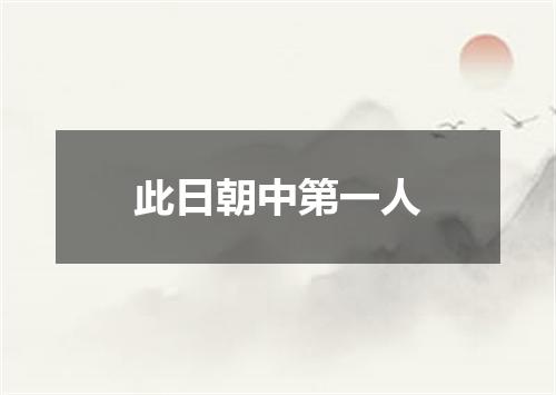 此日朝中第一人