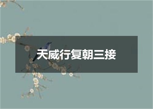 天威行复朝三接