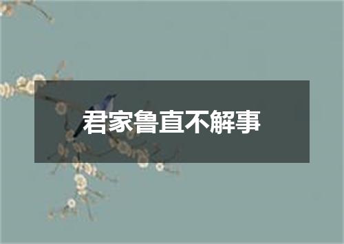 君家鲁直不解事