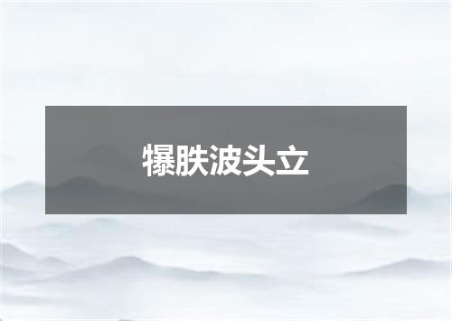 犦胅波头立