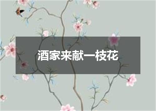 酒家来献一枝花